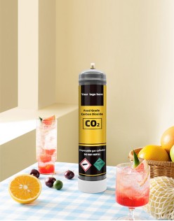 Premium Food Grade 0.95l/1l/1.1l CO2 Cylinder - Ideal for Food and Beverage Industry